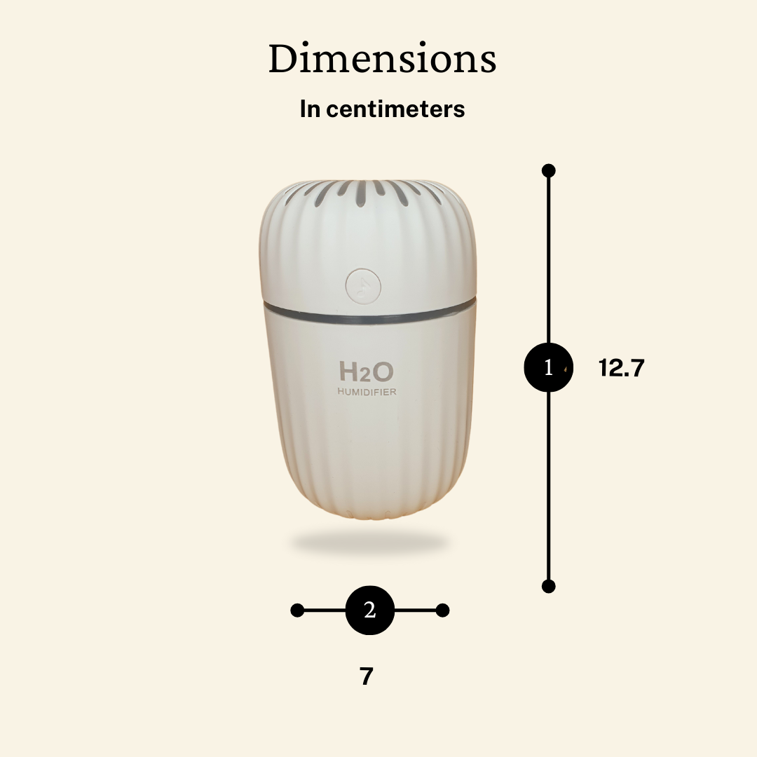 H2O Humidifier