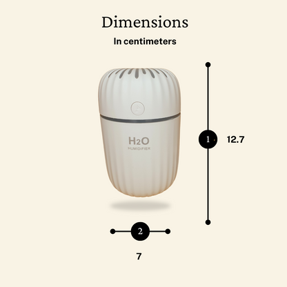 H2O Humidifier