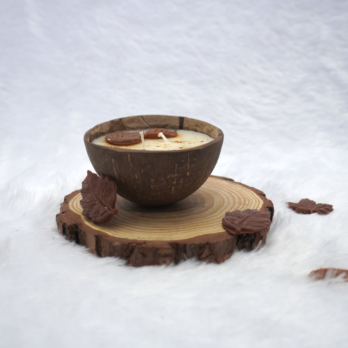 Coconut Shell Candle