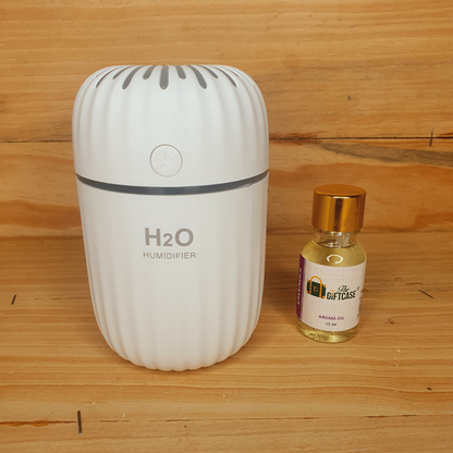 H2O Humidifier