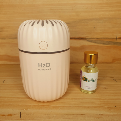 H2O Humidifier