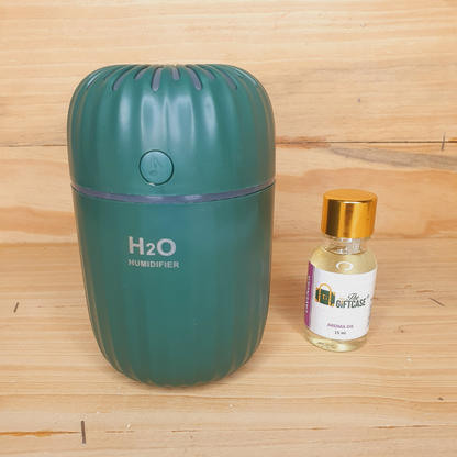 H2O Humidifier