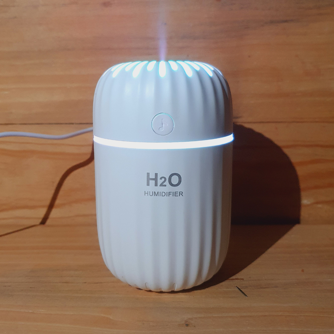 H2O Humidifier
