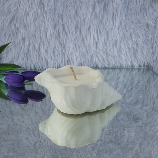 Shell Candle