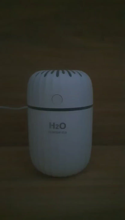 H2O Humidifier